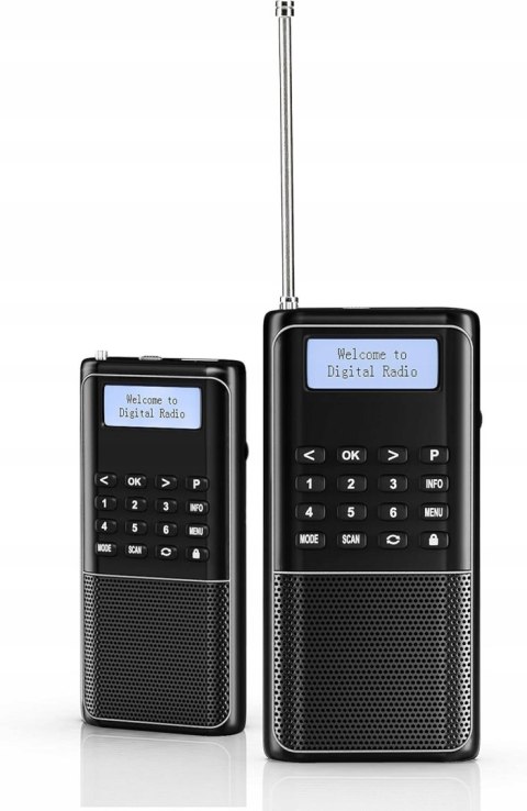 Raddy RD23 Radio przenośne DAB DAB+ FM z Bluetooth