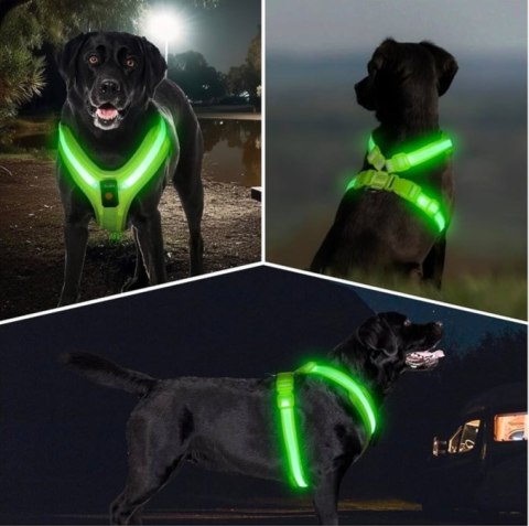 Szelki dla Psa Neon
