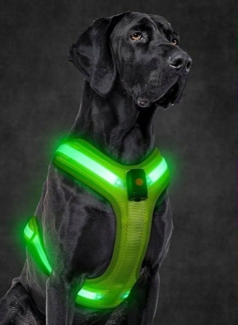Szelki dla Psa Neon